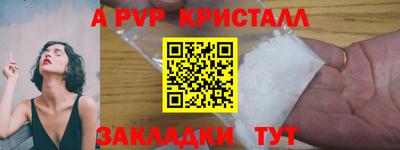 apvp Кингисепп