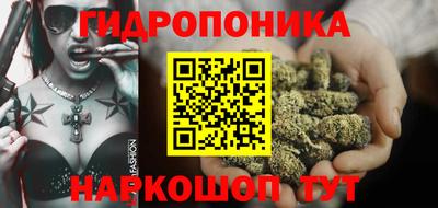 apvp Кингисепп