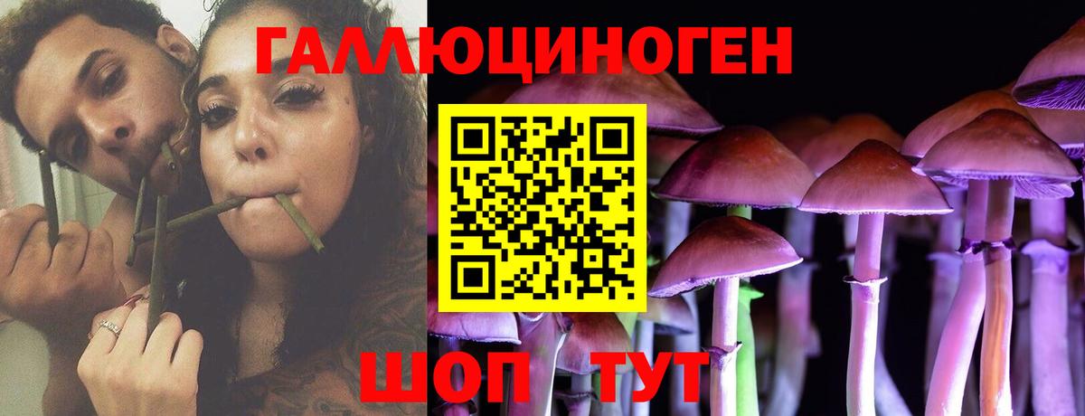 Псилоцибиновые грибы Psilocybe Шебекино